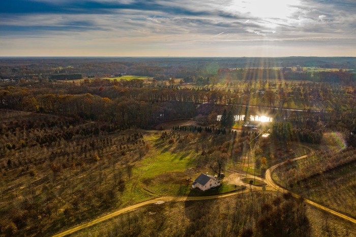 The Raptor Aerial Rope Park About us :: Raptor Aerial